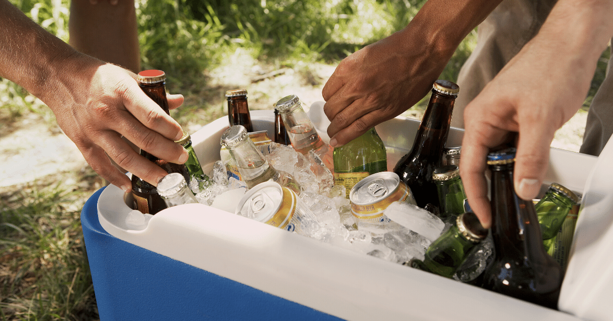 Large cooler for camping at Bluesfest