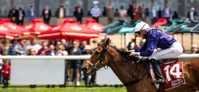 Aussie Twilight Races 