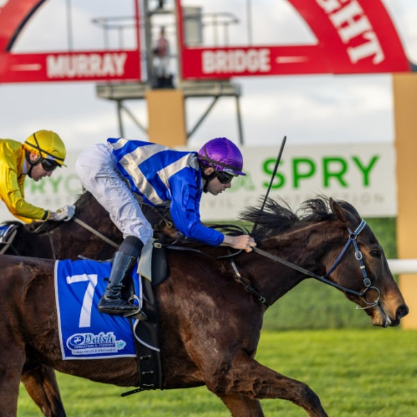 Weekend Races