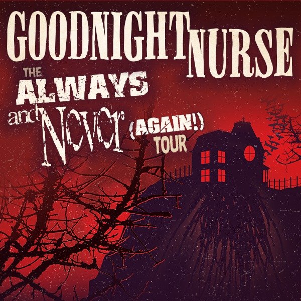 Goodnight Nurse - The Always and Never (Again!) Tour live at San Fran - Concert poster