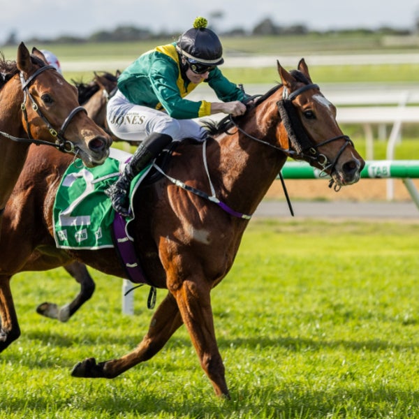 Weekday Races