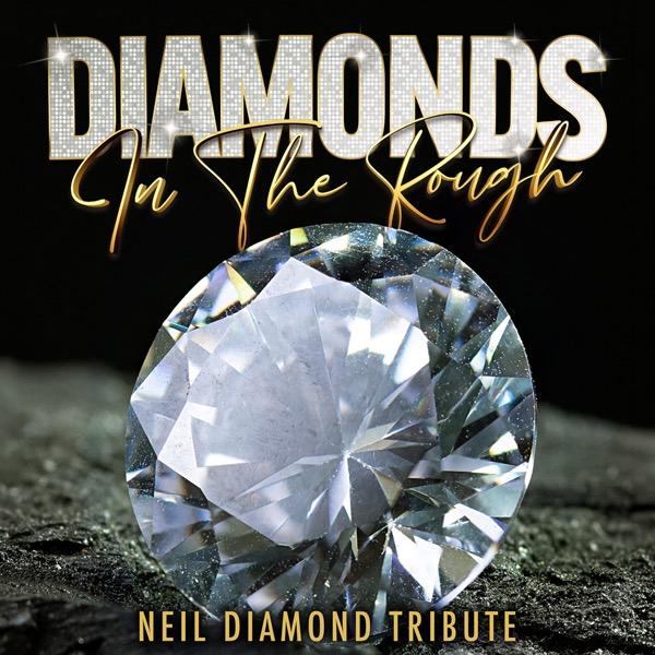 Diamonds in the Rough live at All Seasons Resort Hotel Bendigo - Concert poster