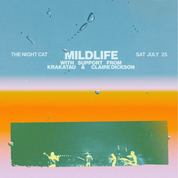 Mildlife Live at The Night Cat live at The Night Cat - Concert poster