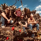 Tumbleweed w. The New Christs - Avalon Beach poster