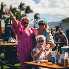 Combined Rotary Clubs Of The Illawarra Race Day - Saturday 12th September 2026