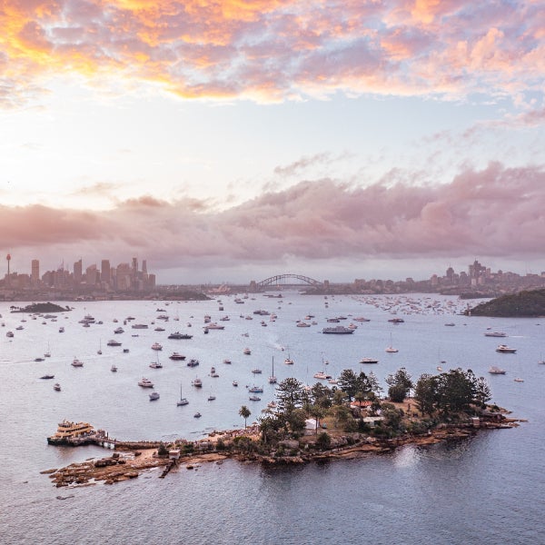 NYE2024 Shark Island