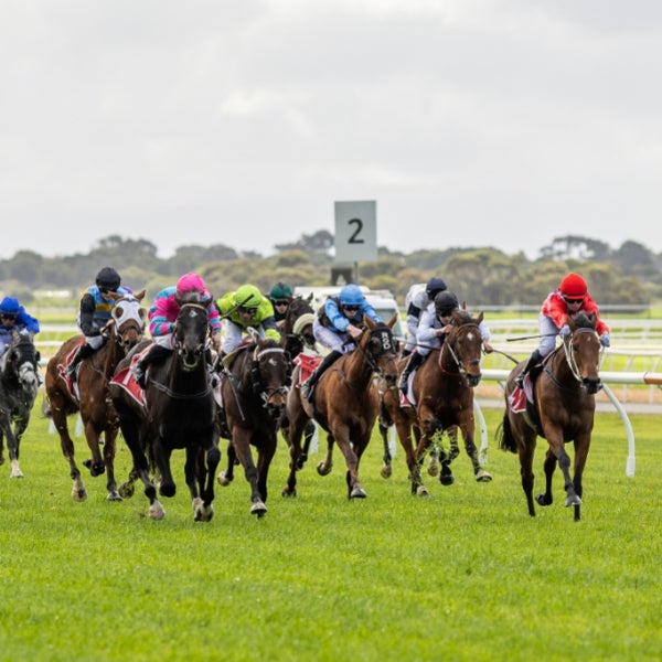 Aussie Twilight Races