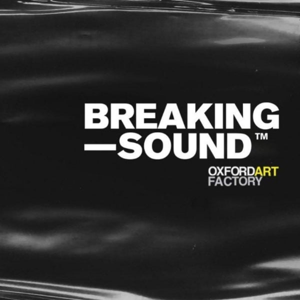 Breaking Sound ft. Flyss, SilvereyeZ & blake williams