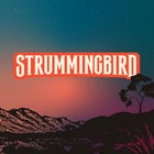 Strummingbird Newcastle | 2025