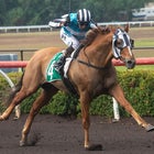 Saturday Racing - 17 October