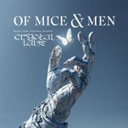 Of Mice & Men