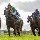 Weekday Races 