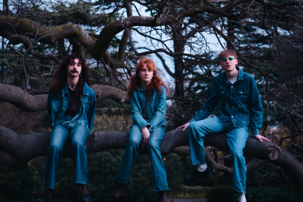 ELDERBERRY / THE MOONERS