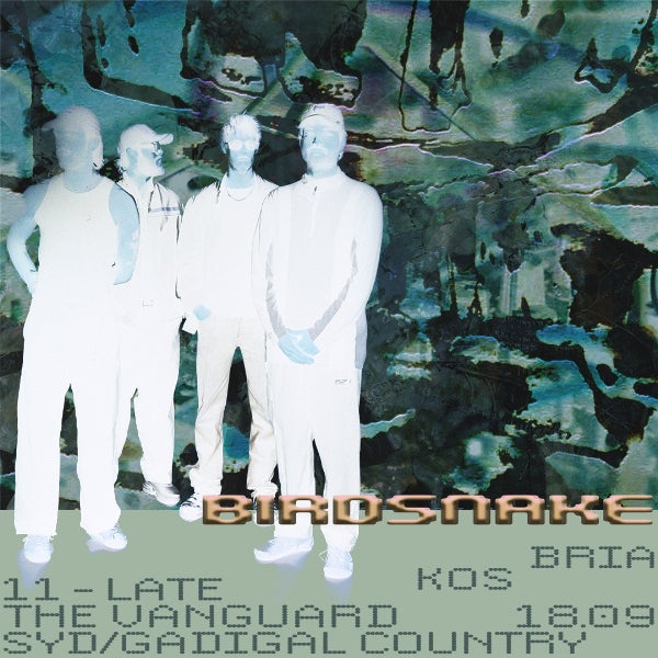 Birdsnake - Live