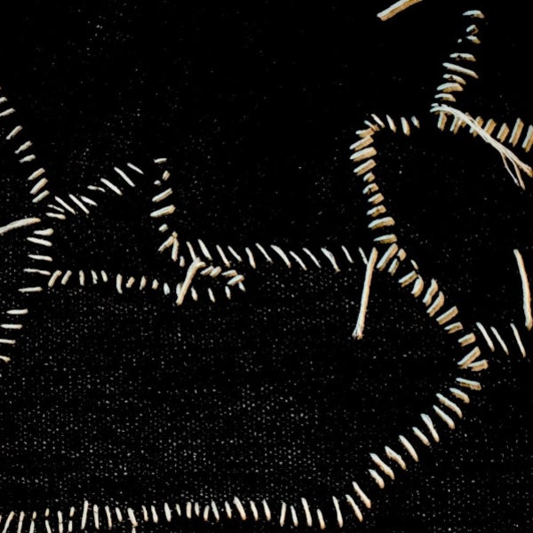 Amnesty ACRUX: Stitched Up