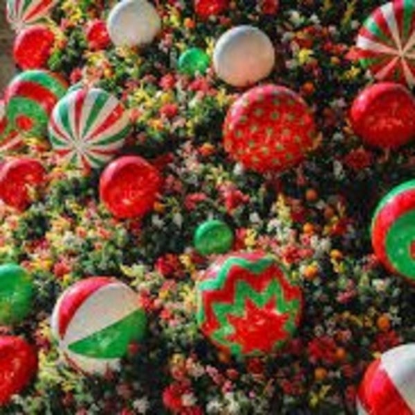 Christmas at Sydney Town Hall