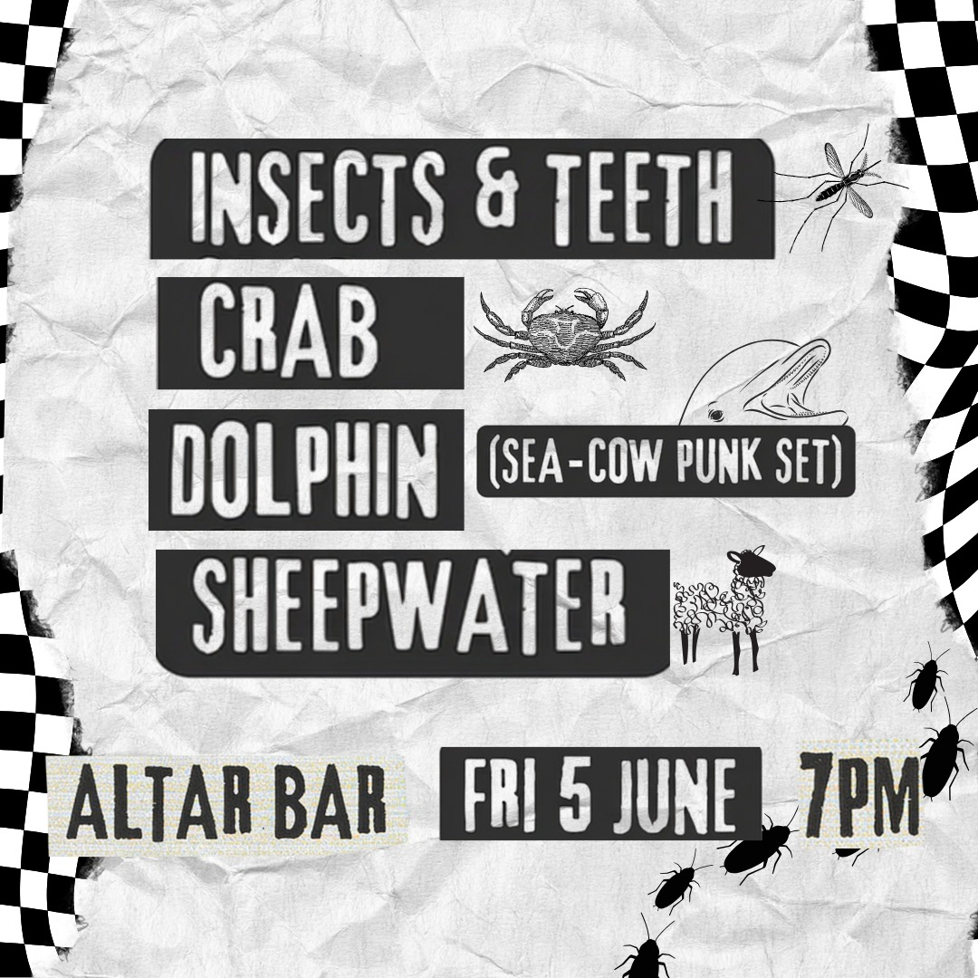 INSECTS & TEETH, CRAB, DOLPHIN (Sea-Cow Punk Set) + SHEEPWATER live at Altar Bar - Concert poster