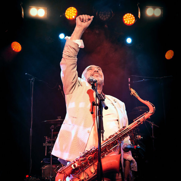 The Black sorrows live at Spring Bay Mill in Triabunna on April 26, 2026 - Concert poster