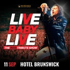 LIVE Baby Live The INXS Tribute show